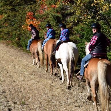 Equitation Vignette